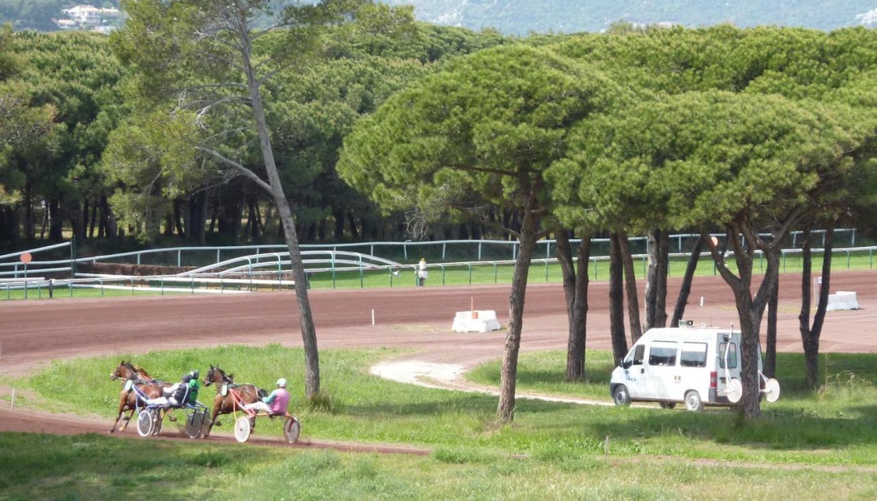 הייר Studio Residence Bona, Vue Hippodrome Et Mer, Clim מראה חיצוני תמונה